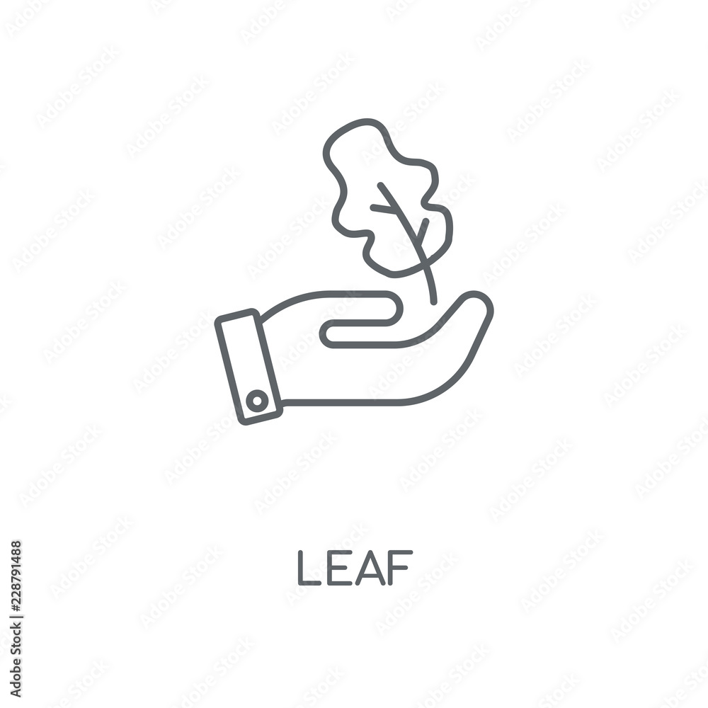 leaf icon leaf icon