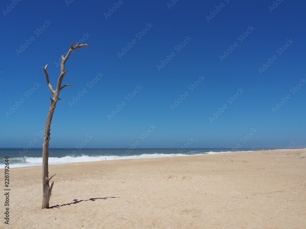 Plaża