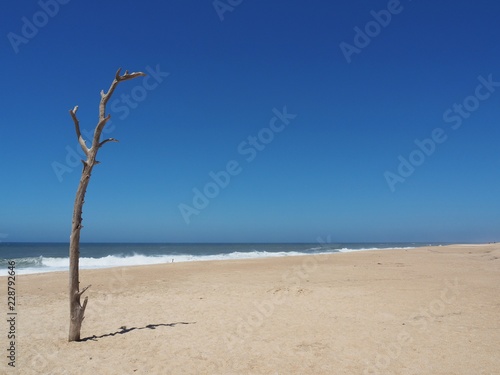 Plaża