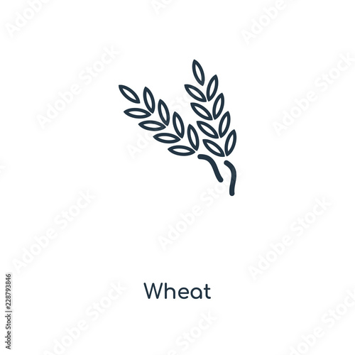wheat icon vector