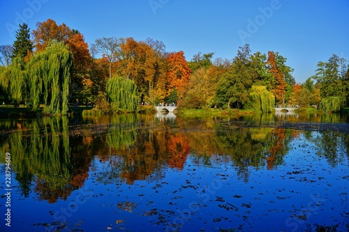 Beautiful colorful landscape. Autumn city park. Autumn at the pond. Golden autumn 