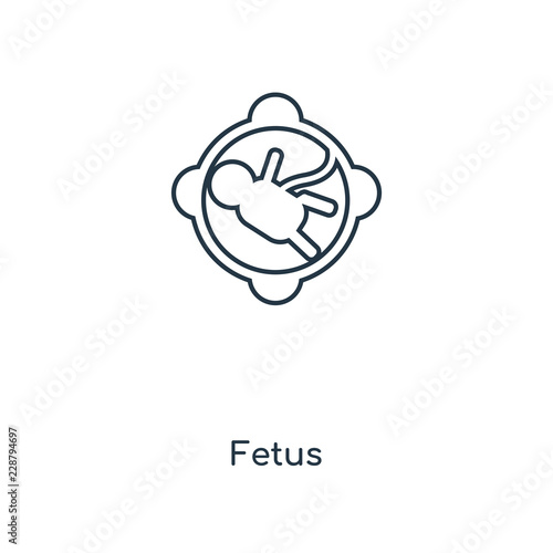 fetus icon vector