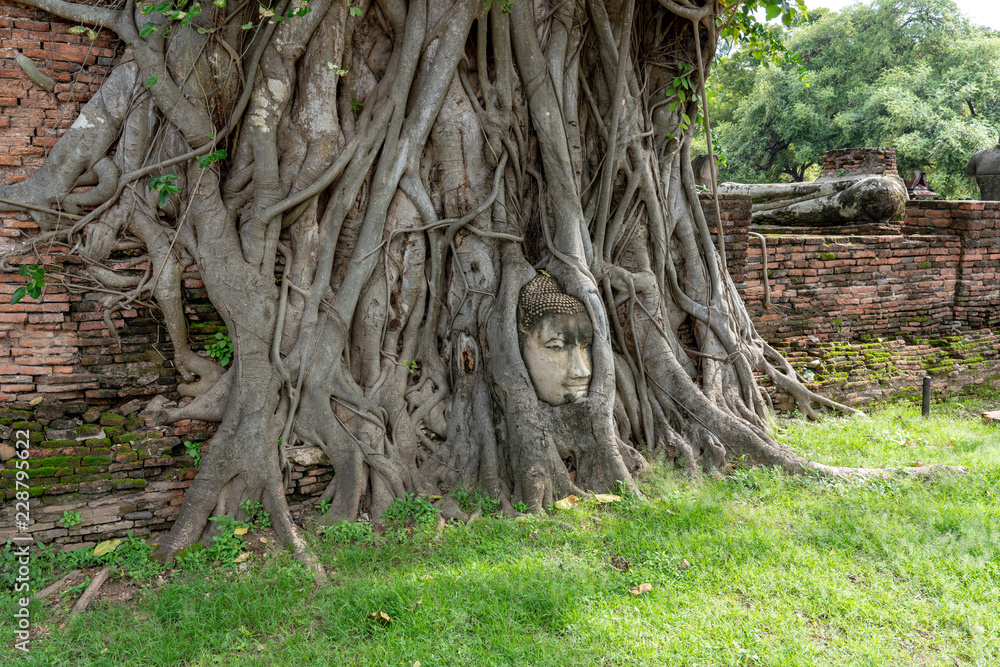 Head of Sandstone Buddha in the tree roots at Wat Mahathat, Ayutthaya, Thailand. Head of Sandstone Buddha in the tree roots at Wat Mahathat, Ayutthaya, Thailand.