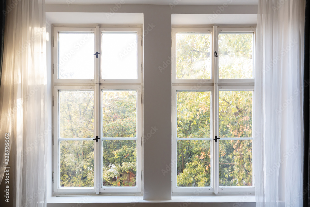 Fall season. Trees with autumn leaves out of two closed white wooden windows. Fall season. Trees with autumn leaves out of two closed white wooden windows.