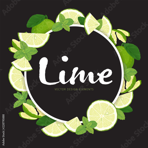 Lime slice and green mint leaves frame on black background template. Vector set of herbal element for advertising, packaging design of mint products.
