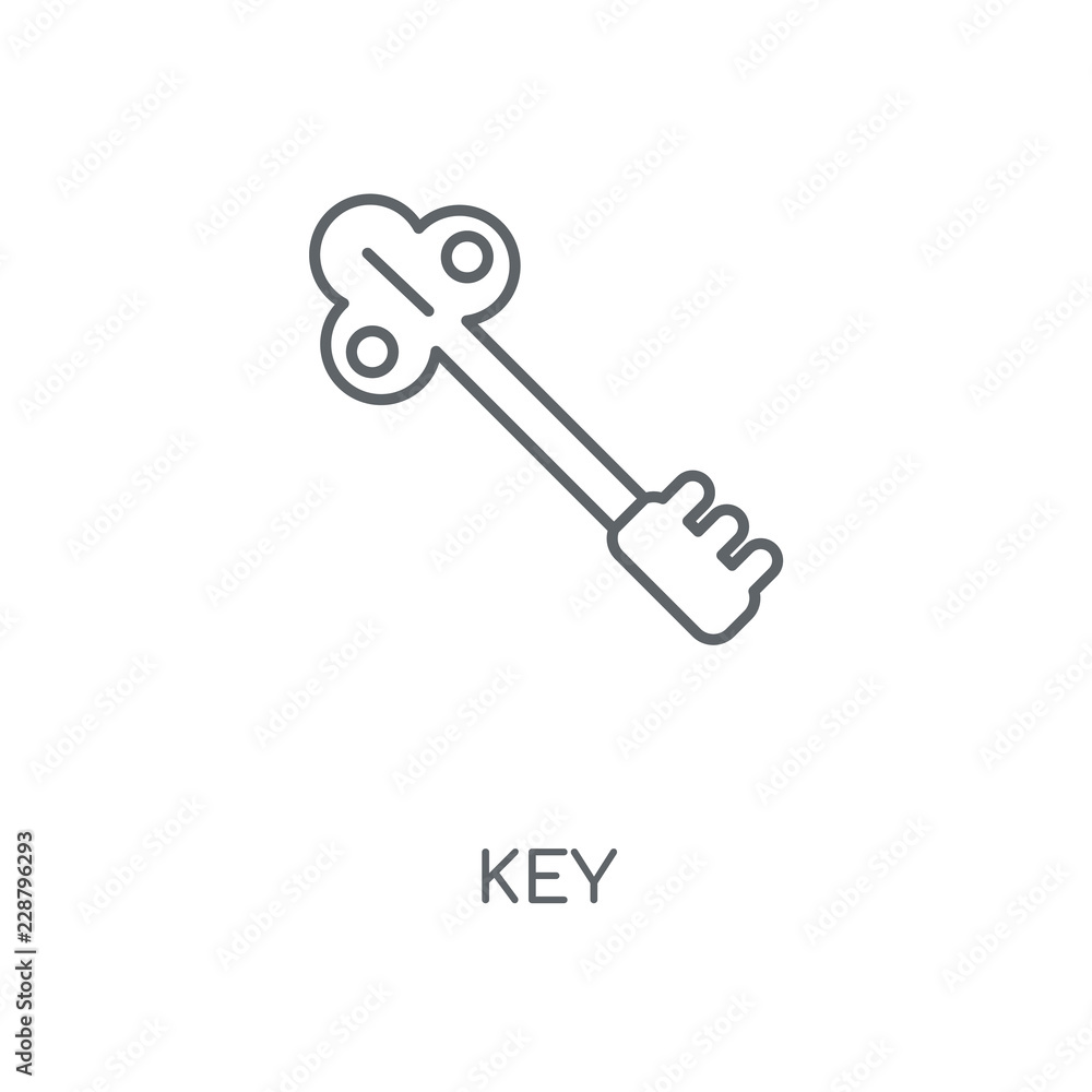 key icon key icon