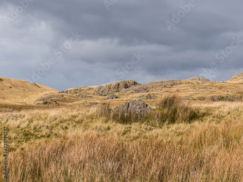 Golden rocky meadow against a stormy sky-1