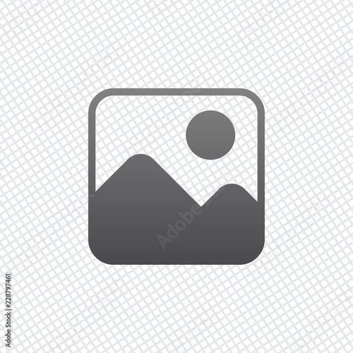 Simple picture icon. On grid background