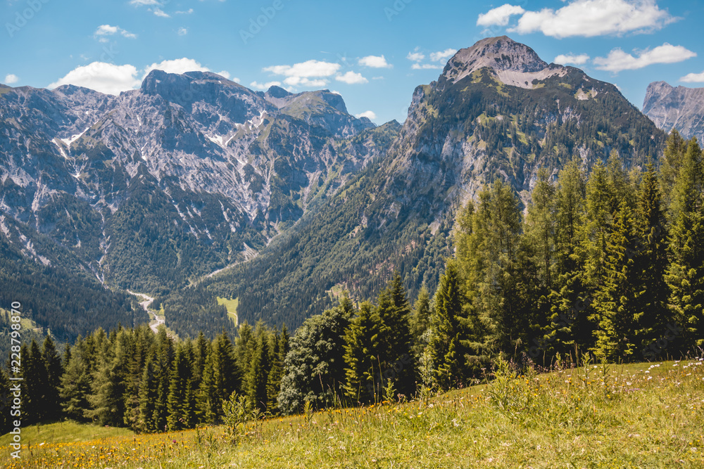 Beautiful alpine view at the Zwoelferkopf summit - Pertisau - Tyrol - Austria