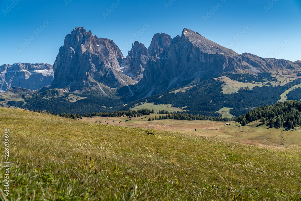 Obraz premium Eine Wanderung auf der Seiser Alm im Herbst bei blauem Himmel