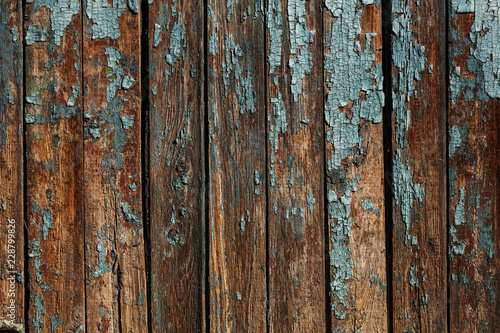 Vintage painted wooden background texture of wooden weathered rustic wall with peeling paint. Empty space for copy old wood texture. Cracked paint with lots of small cracks, abstract grunge texture © Aleksandr Lesik