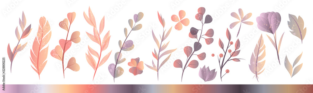 Obraz Zbiór ręcznie rysowane akwarela ziół jesienią