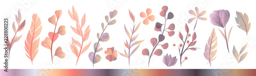 Obraz na płótnie Zbiór ręcznie rysowane akwarela ziół jesienią