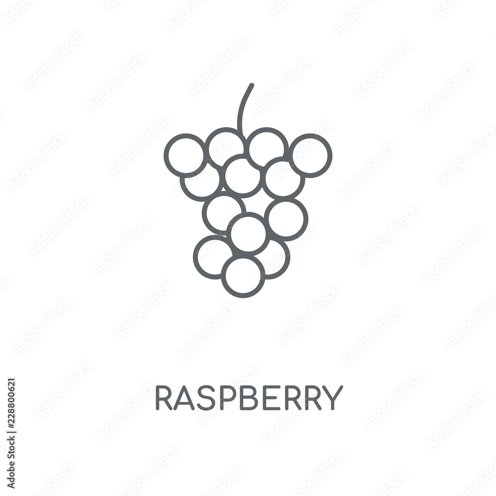 raspberry icon raspberry icon