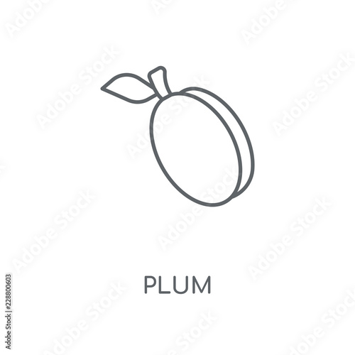 plum icon