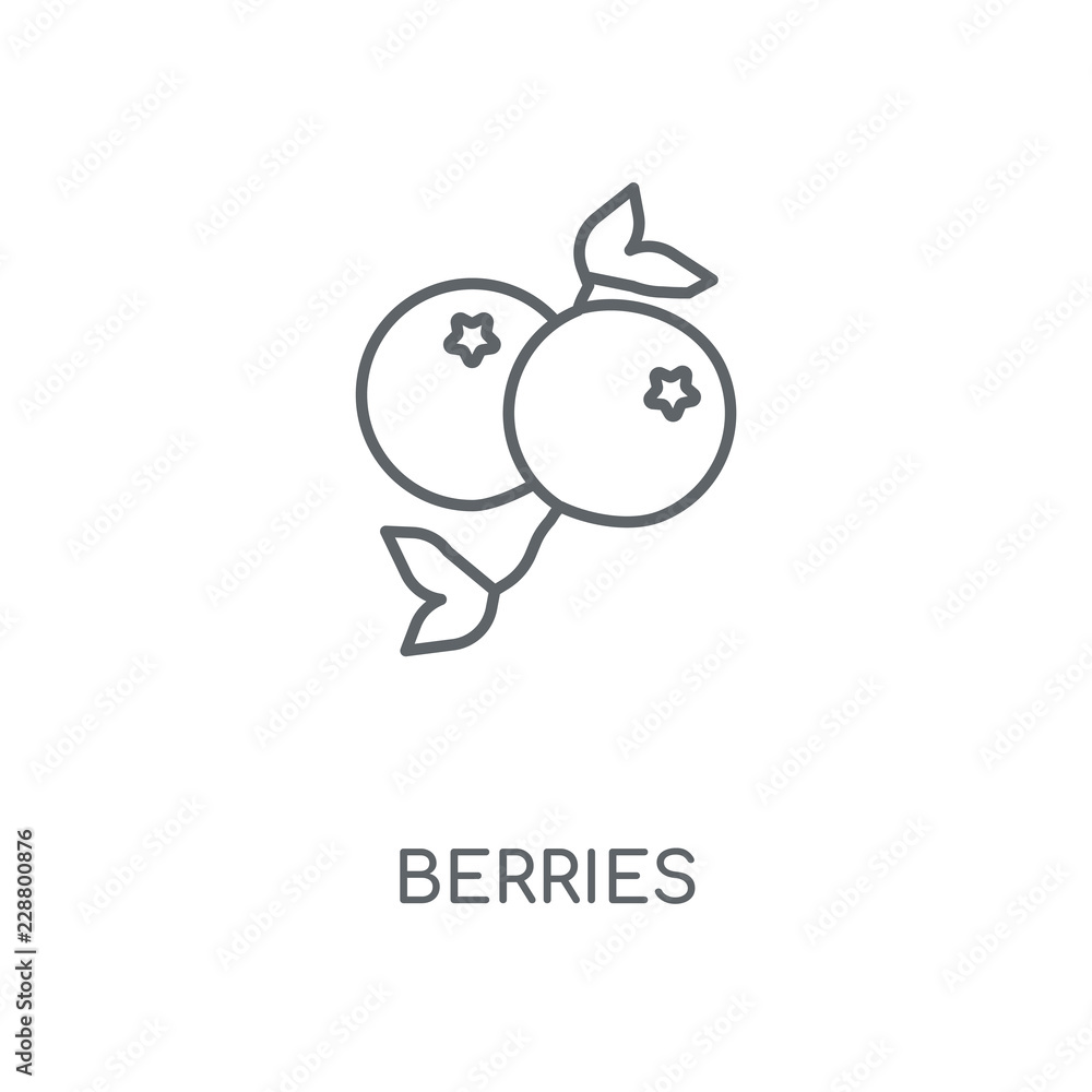 blueberries icon blueberries icon