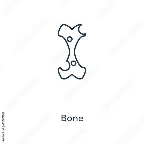bone icon vector