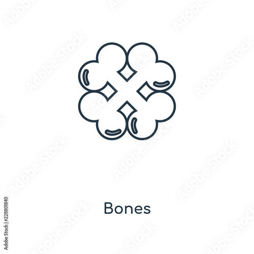 bones icon vector