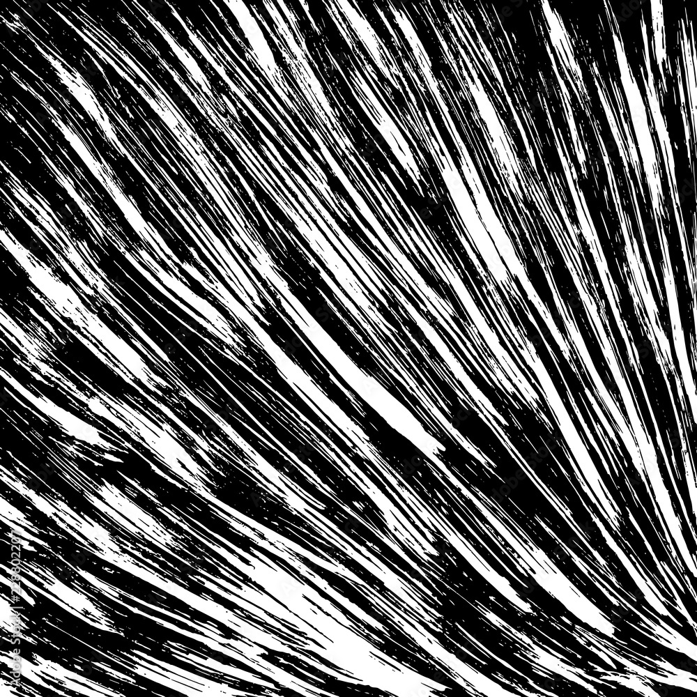 Fototapeta premium White and black grunge pattern. Background. Brush. Vector.