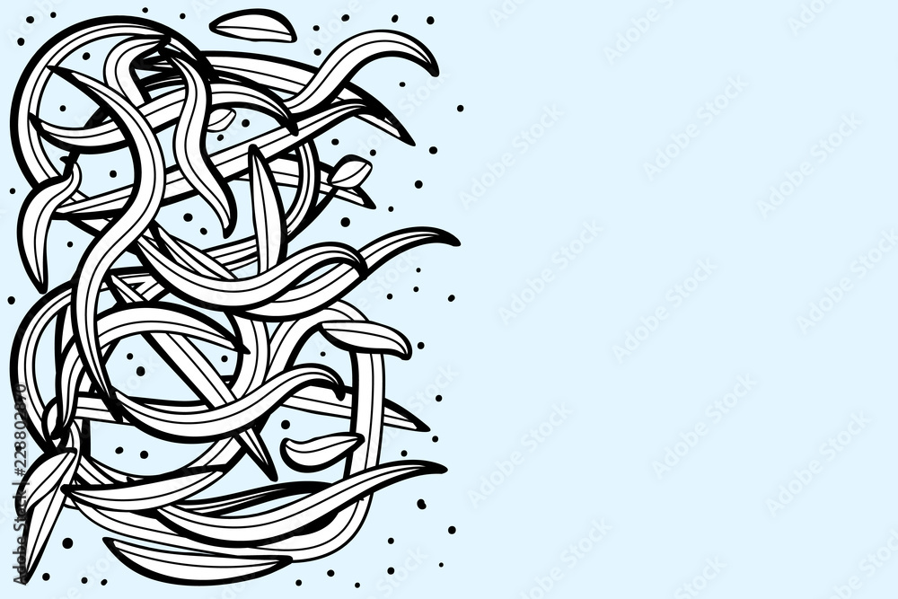 Obraz premium Flowers composition in doodle style. Vector ilustration.