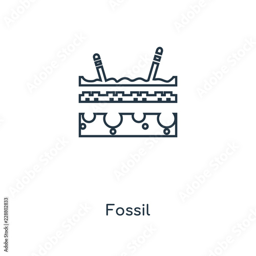 fossil icon vector