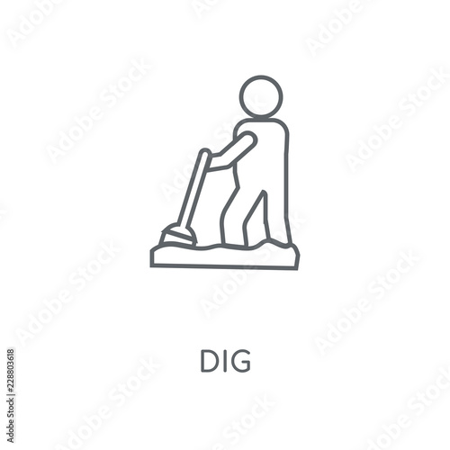 dig icon