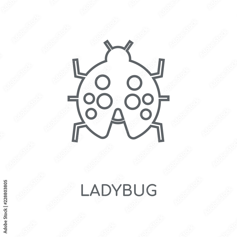 ladybug icon ladybug icon