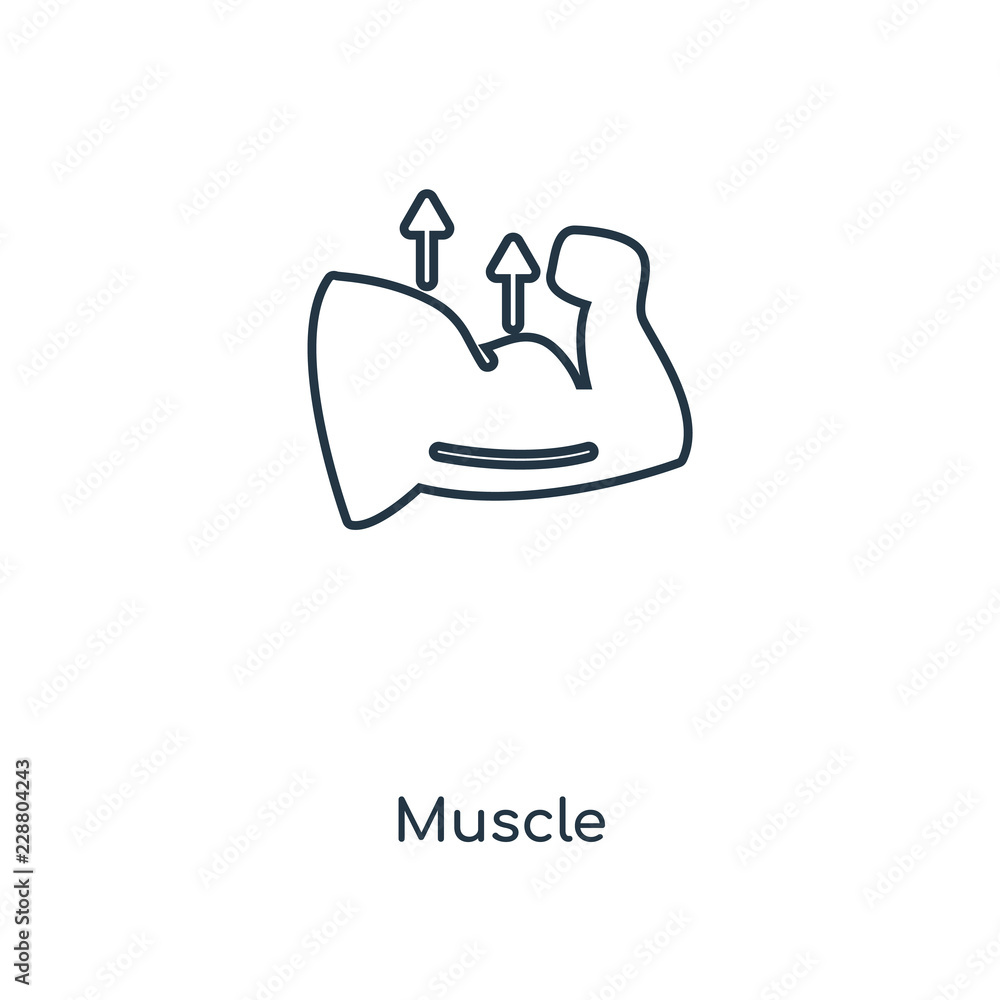 muscle icon vector muscle icon vector