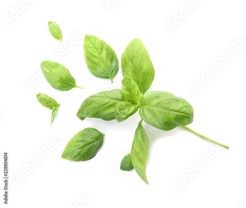 Fresh green basil leaves on white background, top view