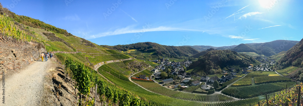 Panorama von Mayschoss im Ahrtal vom Rotweinwanderweg