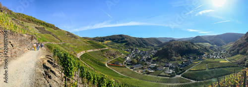 Fototapeta Naklejka Na Ścianę i Meble -  Panorama von Mayschoss im Ahrtal vom Rotweinwanderweg