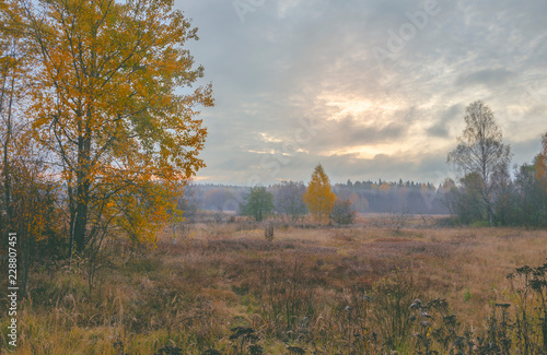 Foggy autumn landscape.Traquil morning.Fog over the meadow and woods. photo