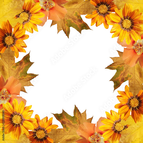 Beautiful autumn background of maple leaves and flowers 

