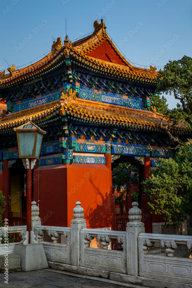 Fototapeta premium Trees, colorful pavilion, of the temple of Confucius in Beijing in Autumn - 11