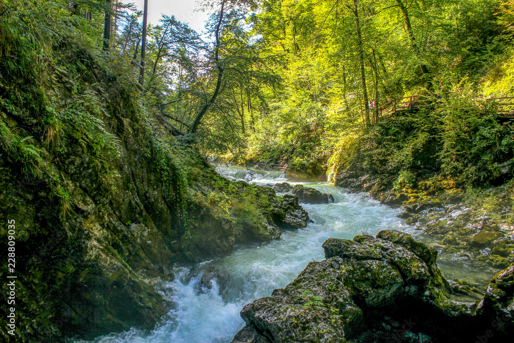 View of canyon Blejski Vintgar with beautiful clear and speed water. Canyon is near the Bled lake in Slovenia. View of canyon Blejski Vintgar with beautiful clear and speed water. Canyon is near the Bled lake in Slovenia.