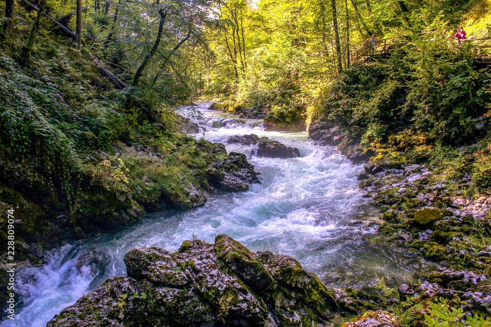 View of canyon Blejski Vintgar with beautiful clear and speed water. Canyon is near the Bled lake in Slovenia.