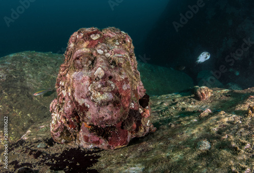 Underwater statue of Lord Shiva at Swami Rock Trincomalee Sri Lanka.  photo