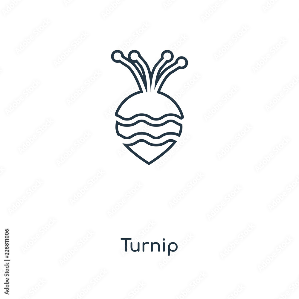 turnip icon vector turnip icon vector