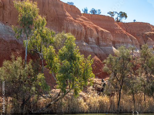 Landscape view of the red banded cliffs on the banks of the Murray River near Mildura in Victoria, Australia. photo