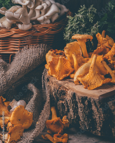 Wicker tray with chanterelle mushrooms on wooden table. Knife, basket with mushrooms and fresh herbs © Irina Sokolovskaya