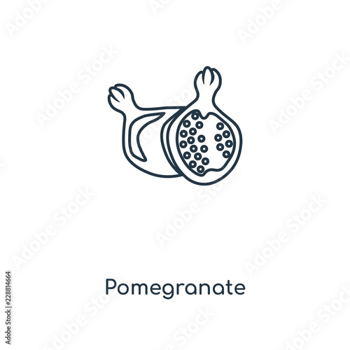 pomegranate icon vector