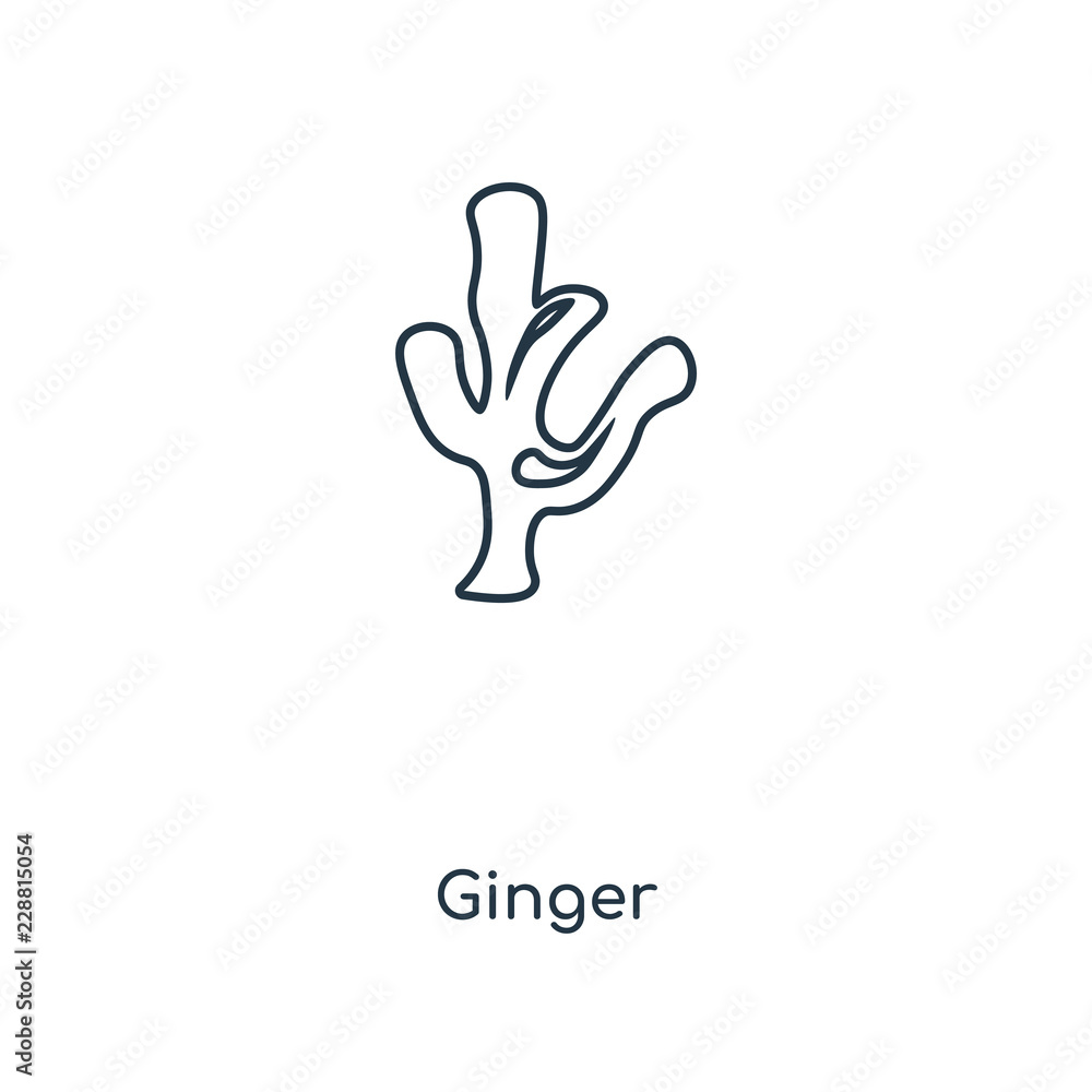 ginger icon vector ginger icon vector