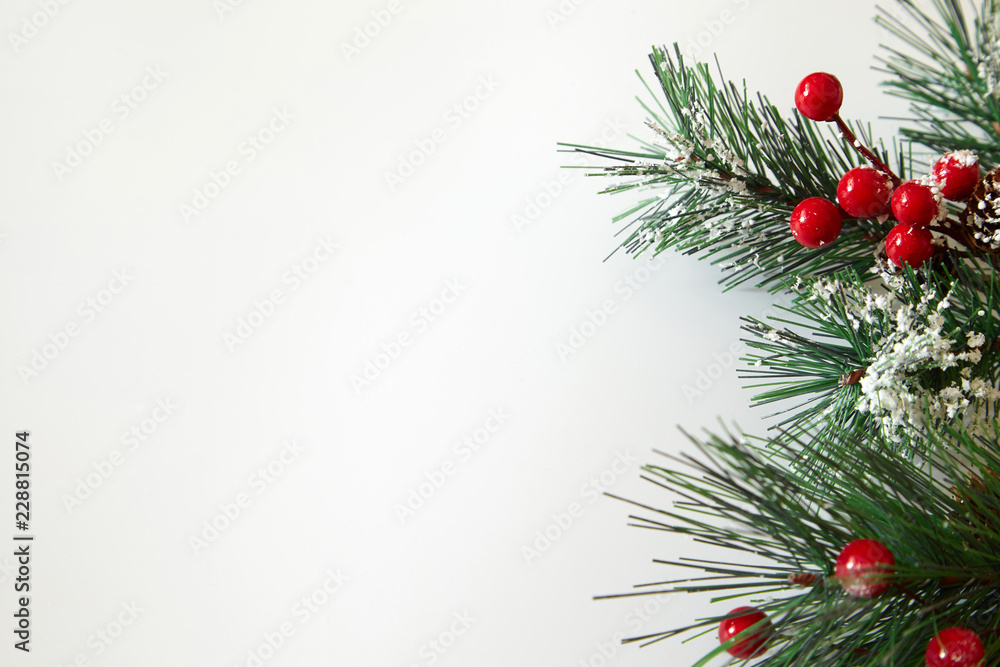 Fir tree branches and red berries. Christmas background. Fir tree branches and red berries. Christmas background.