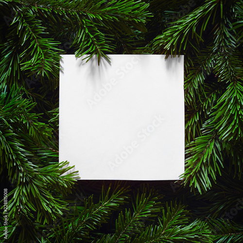 Empty paper blank laying on Christmas tree branches. New year background.