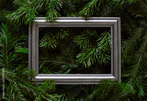 Empty silver fame with Christmas tree branches on background. New year background.