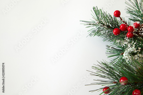 Fir tree branches and red berries. Christmas background. © happy_author