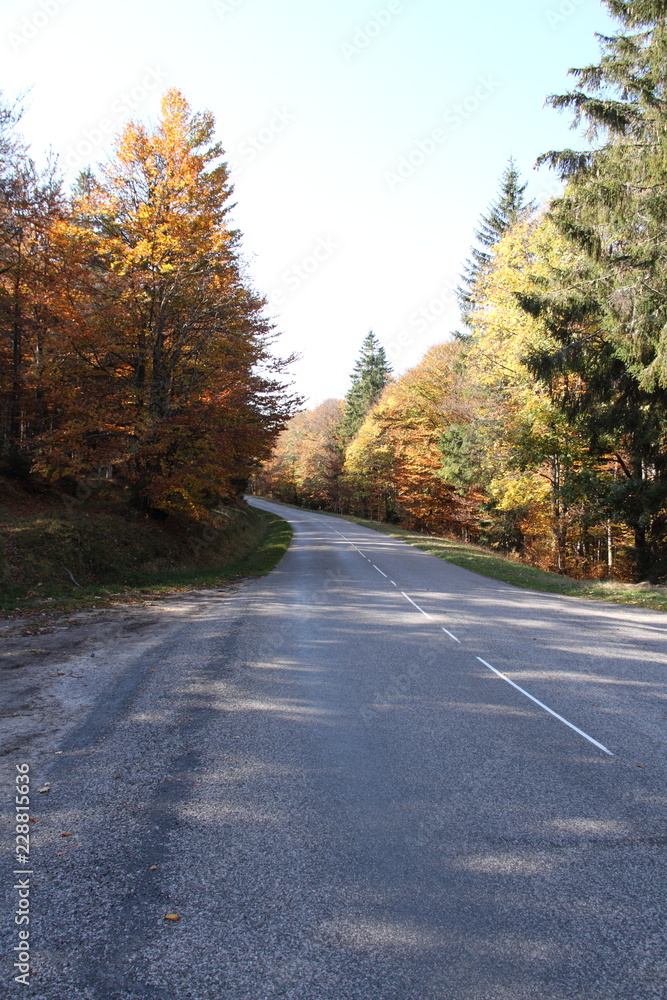 Fototapeta premium Bergstrasse im Herbst 6