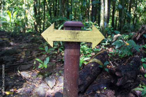 A hiking trail marker indicating a fork in the road, and that you can go in both directions, in the rain forest in Gamboa, Panama Canal Zone, Panama photo