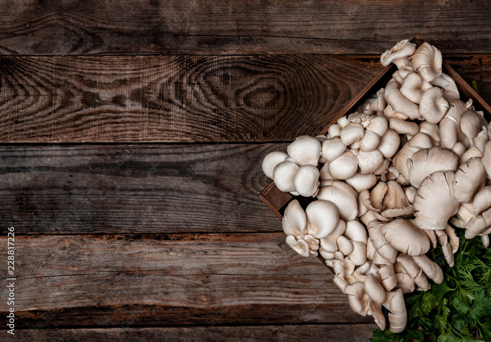 Wooden tray with raw oyster mushrooms on wooden table. Copy space for your text. Banner. Wooden tray with raw oyster mushrooms on wooden table. Copy space for your text. Banner.