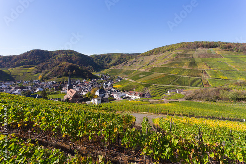 Blick auf Mayschoss vom Rotweinwanderweg im Herbst